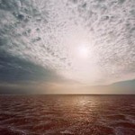 Salt - Murray Fredericks