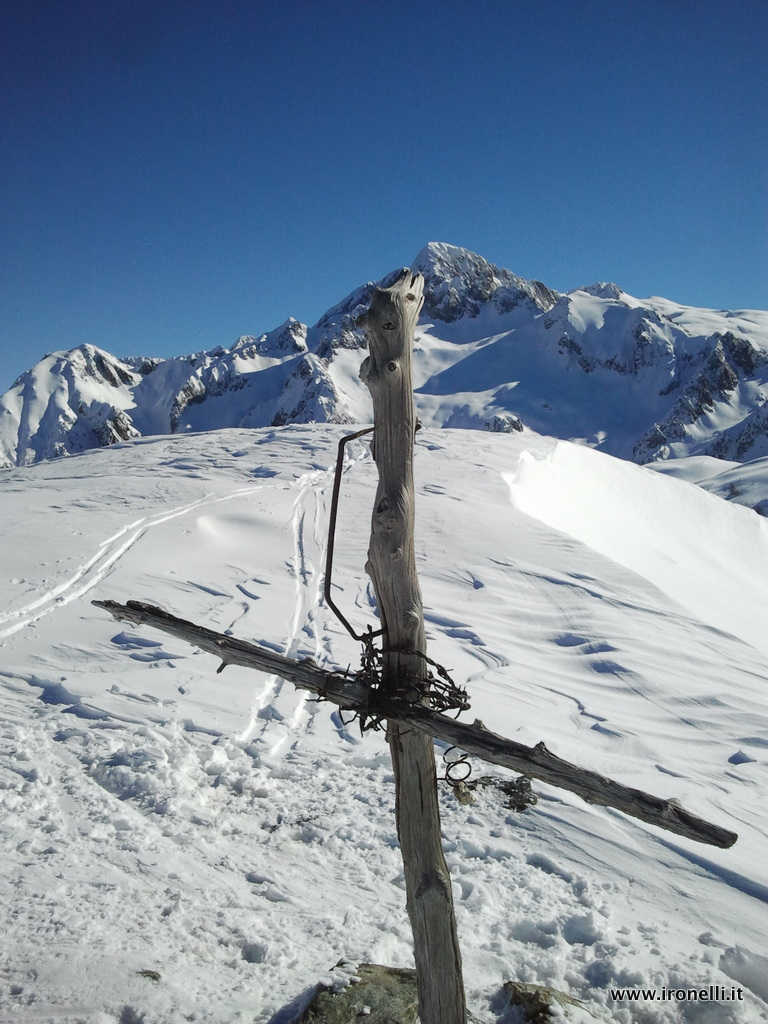 Cima d'Asta dietro Cima Socede