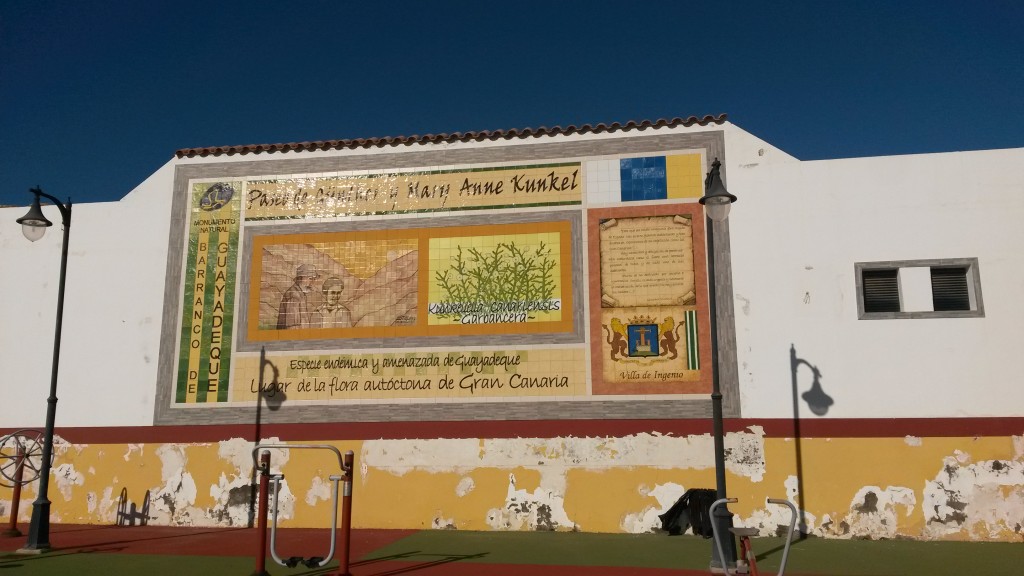 Gran Canaria Bike Trip