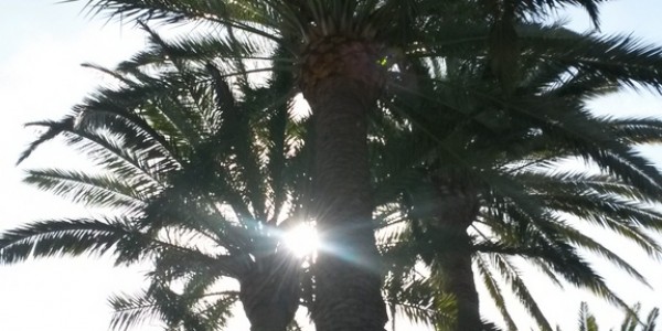 Gran Canaria Bike Trip