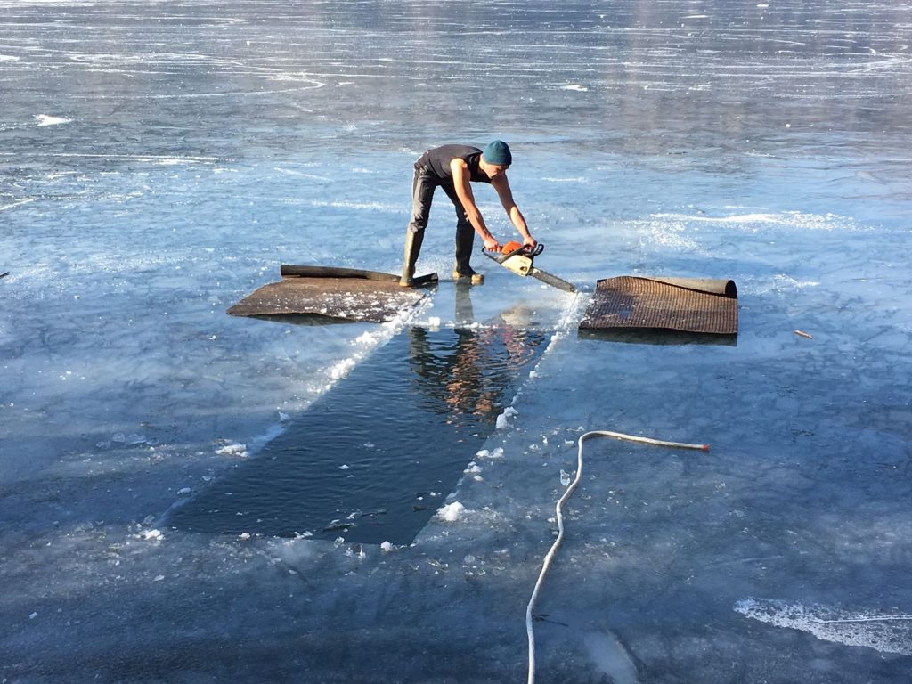 Triathlon della merla: Rob che sega il ghiaccio come un boscaiolo canadese