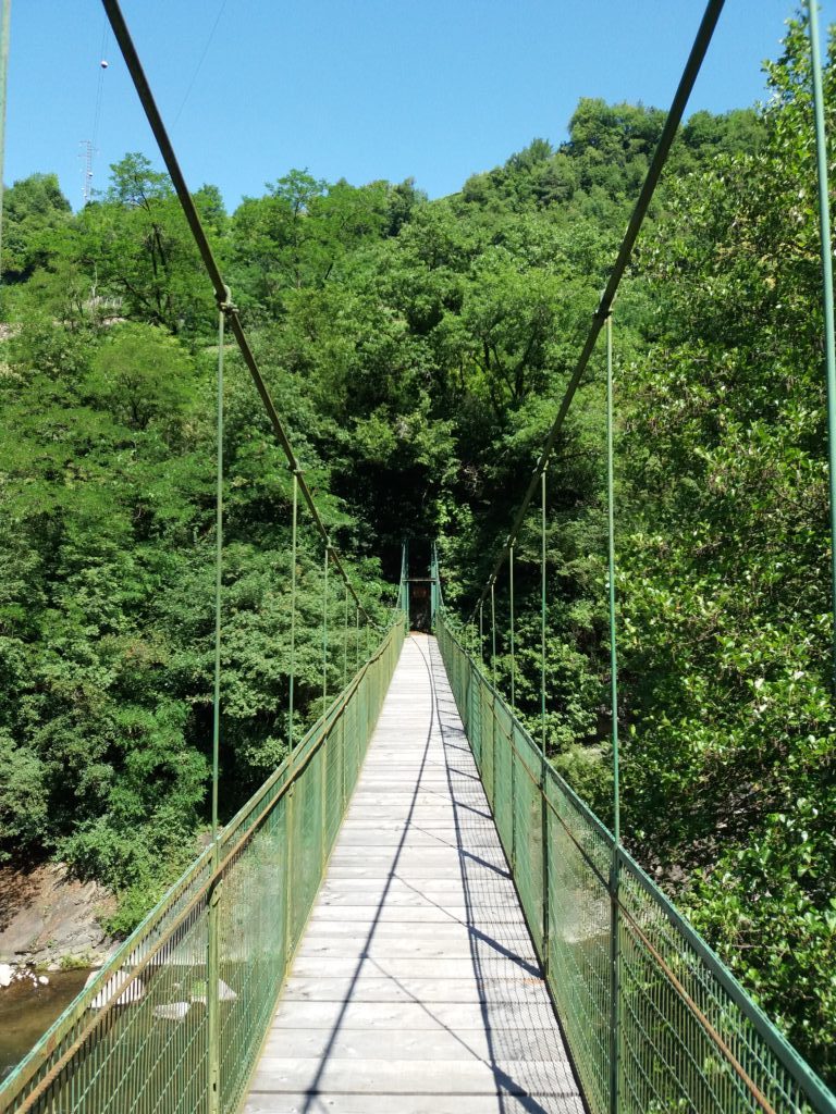 Il ponte delle formiche a Pozzolago sull'Avisio