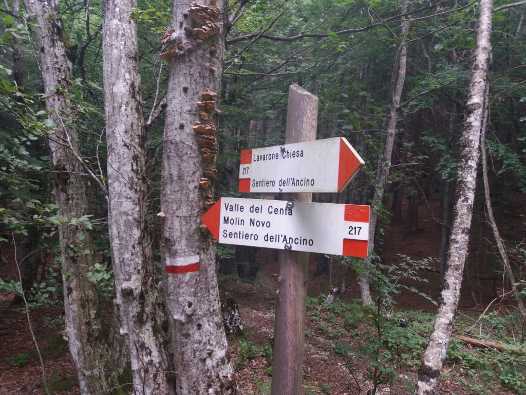 Partenza del sentiero dell'Ancino dalla strada della Val Caretta