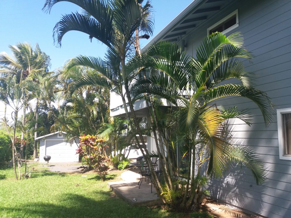 Our new home in Paia, Maui