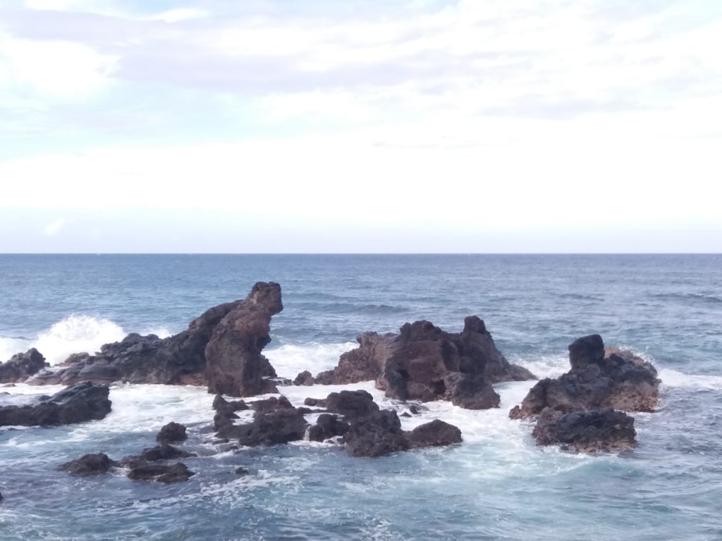 The north shore near Hookipa beach, Maui