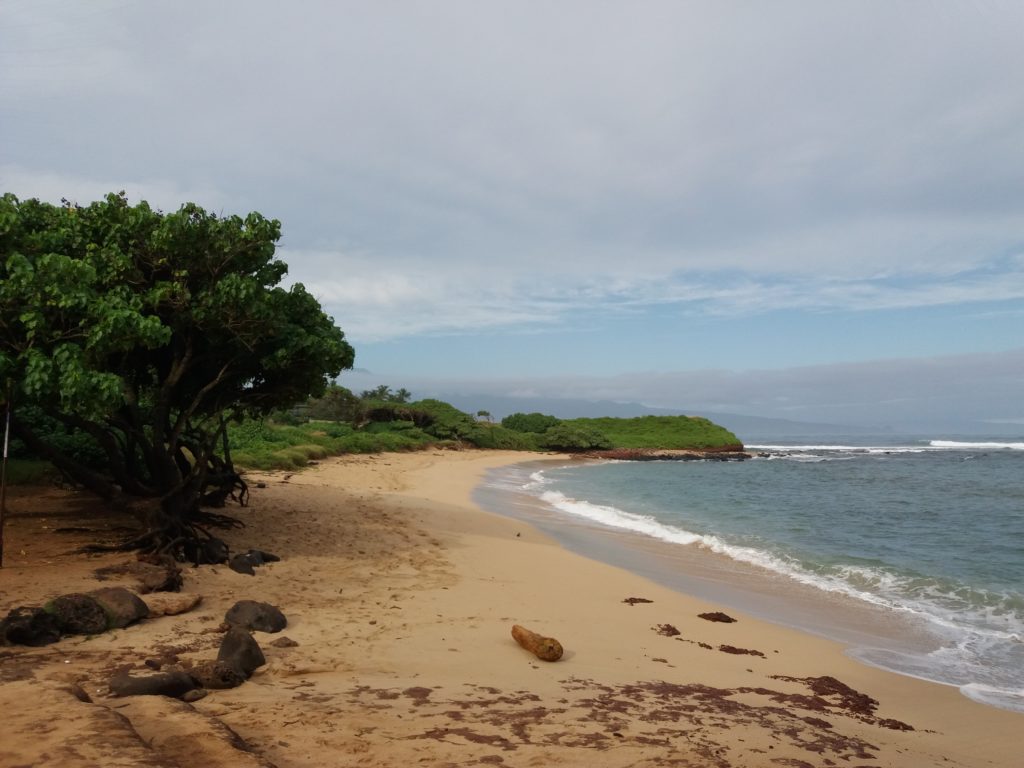 The big Baldwin beach in Paia, Maui, Hawaii