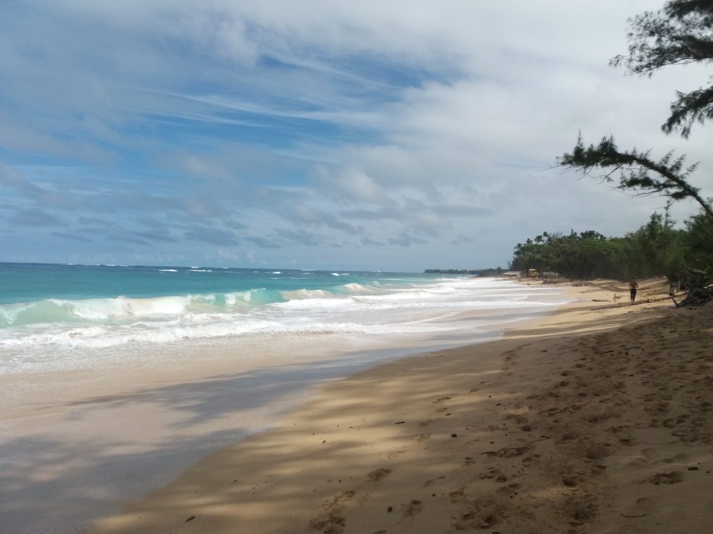 The big Baldwin beach in Paia, Maui, Hawaii