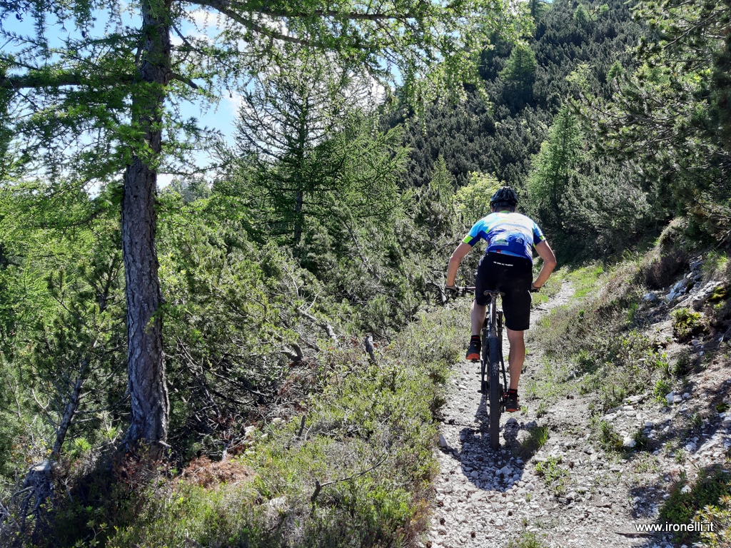 Sentiero Prai Alti malga Derocca in mountain bike