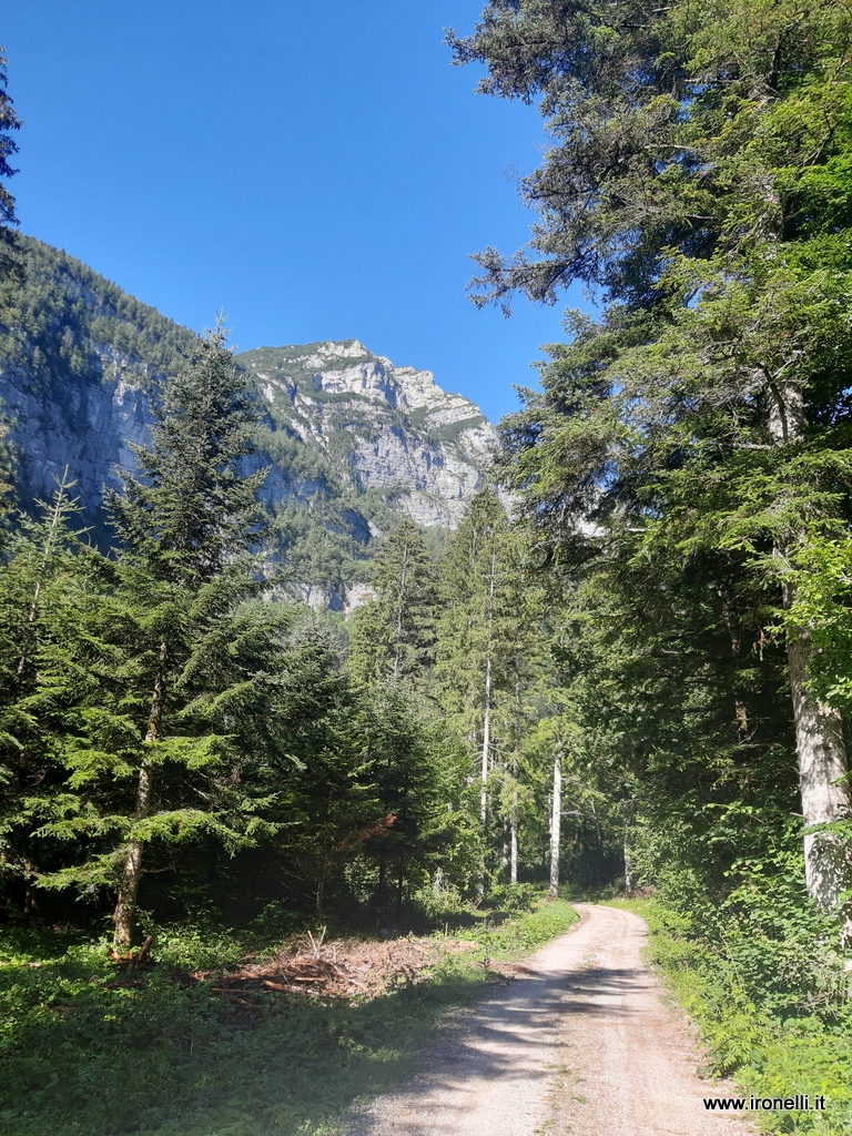 La valle di collegamento tra Spor e Andalo