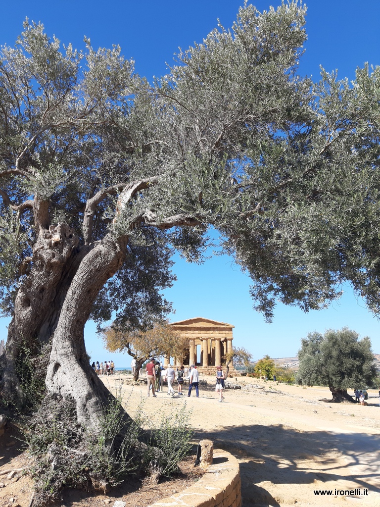 I templi ad Agrigento