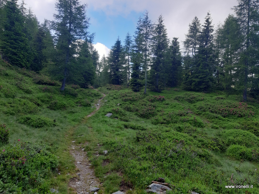 Dopo Van Spitz sentiero di collegamento con la Bassa: finalmente ci si diverte.