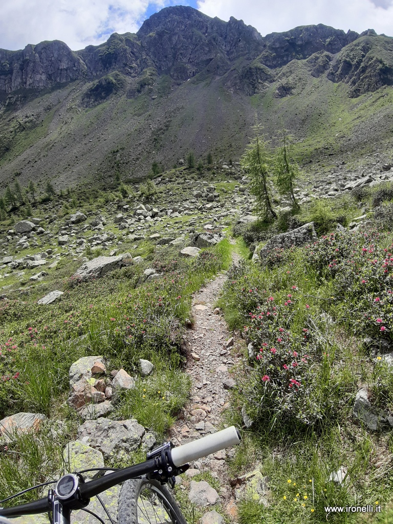 La discesa dalla Portela in val dei mocheni.