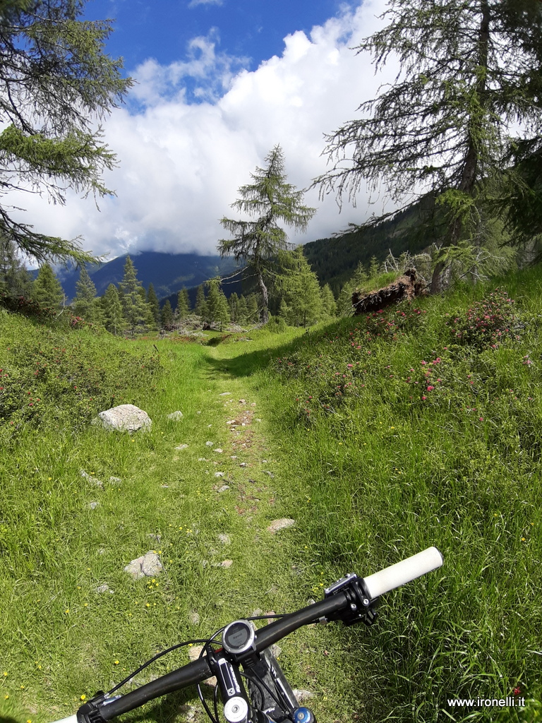 La discesa dalla Portela in val dei mocheni.