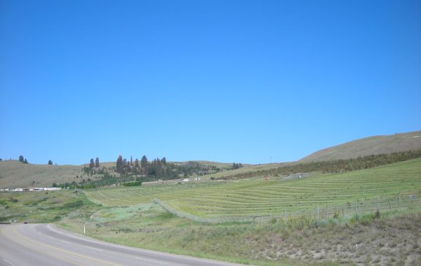 DSCN4488
