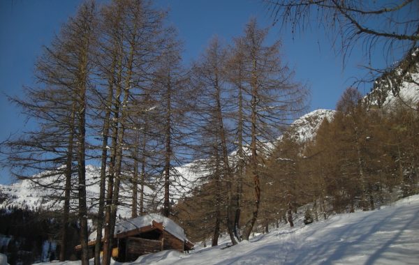 Lorchen-03-04-10-07-55-10