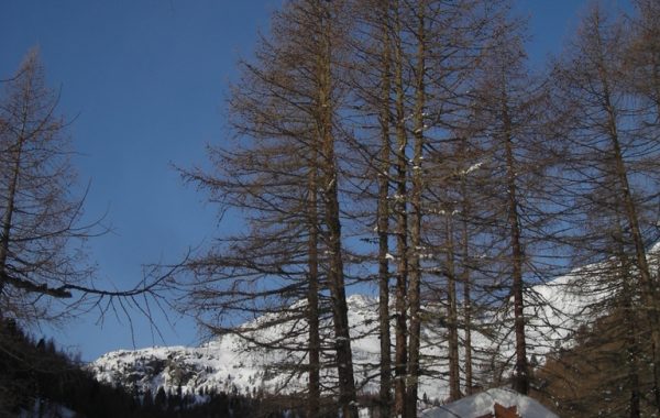 Lorchen-03-04-10-07-55-15