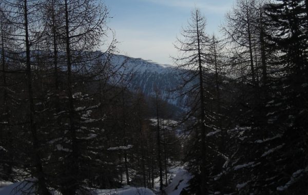 Lorchen-03-04-10-08-00-53