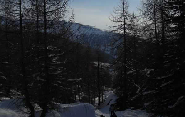 Lorchen-03-04-10-08-01-18