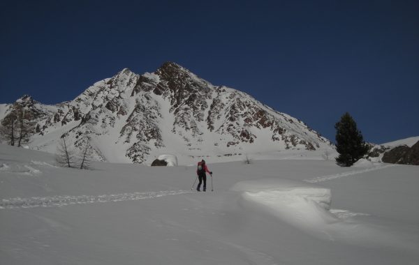 Lorchen-03-04-10-08-26-10