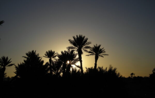 MaroccoBike-30-10-09-08-58-57