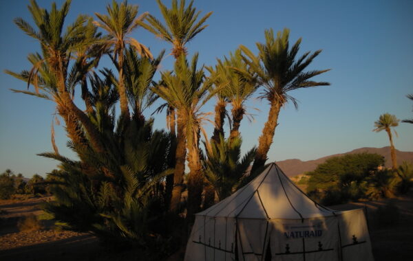 MaroccoBike-30-10-09-08-59-37