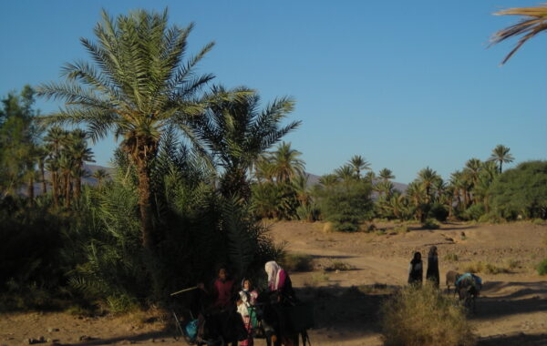 MaroccoBike-30-10-09-09-37-19