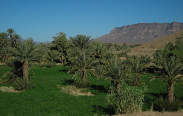 MaroccoBike-30-10-09-11-12-21