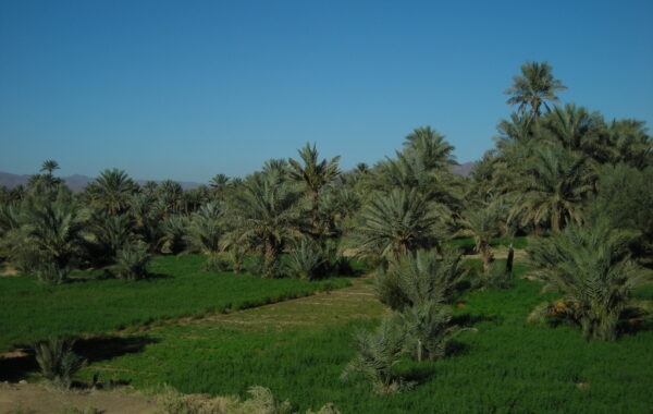 MaroccoBike-30-10-09-11-12-26