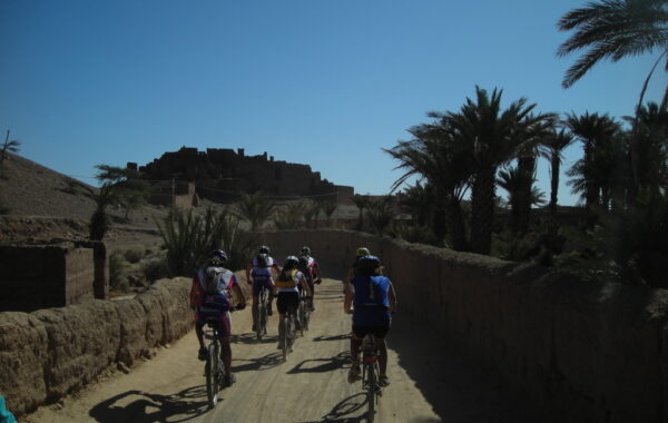 MaroccoBike-30-10-09-12-10-12