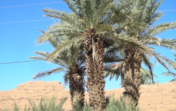 MaroccoBike-30-10-09-15-40-57