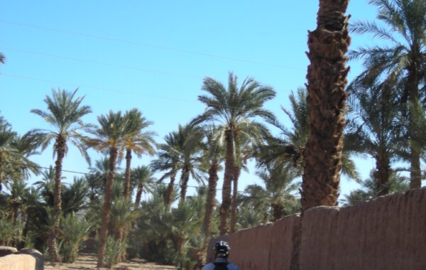 MaroccoBike-30-10-09-16-56-09