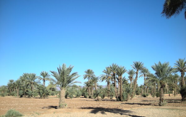 MaroccoBike-30-10-09-16-58-13