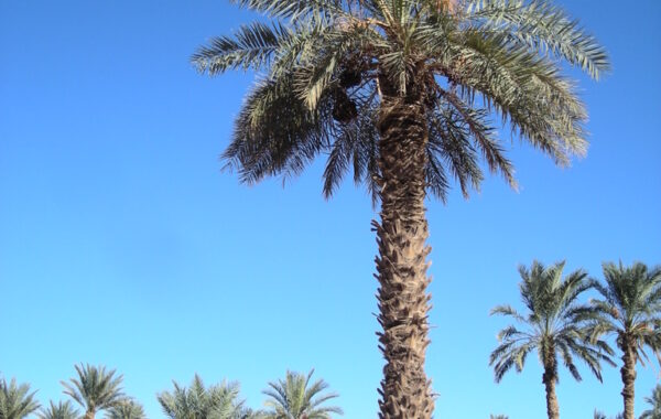 MaroccoBike-30-10-09-16-58-20