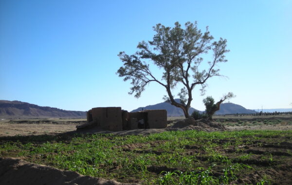 MaroccoBike-30-10-09-17-16-10