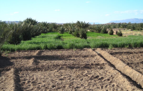 MaroccoBike-30-10-09-17-32-35