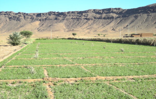 MaroccoBike-30-10-09-17-32-55