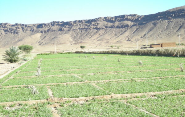 MaroccoBike-30-10-09-17-33-35