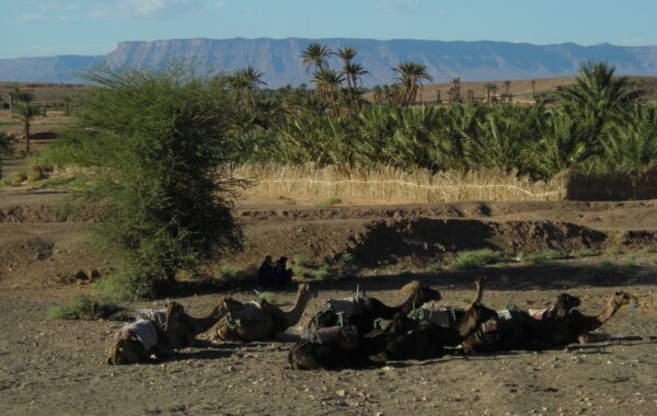 MaroccoBike-30-10-09-17-41-48