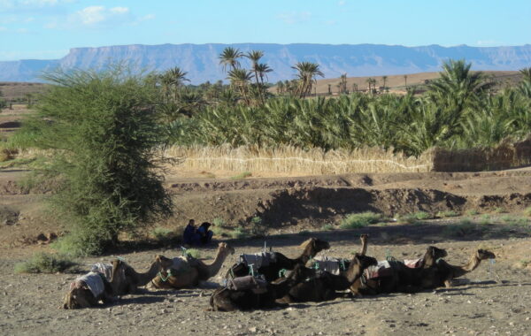 MaroccoBike-30-10-09-17-42-14