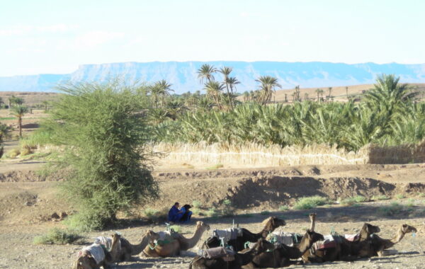 MaroccoBike-30-10-09-17-42-49