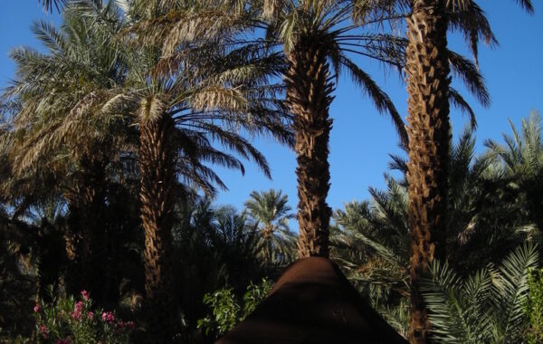 MaroccoBike-30-10-09-18-04-35