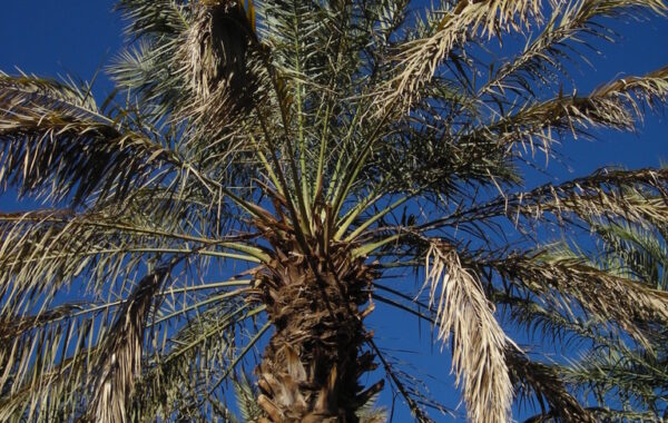 MaroccoBike-30-10-09-18-05-07