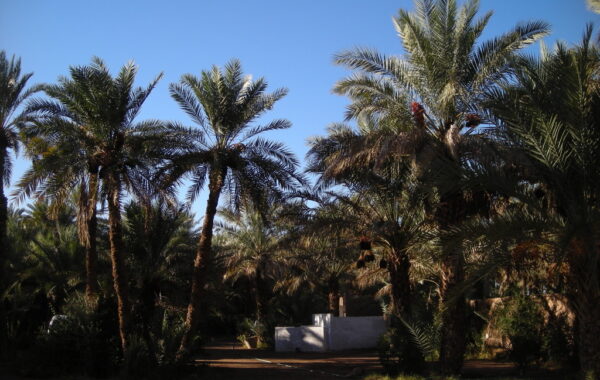 MaroccoBike-30-10-09-18-12-55