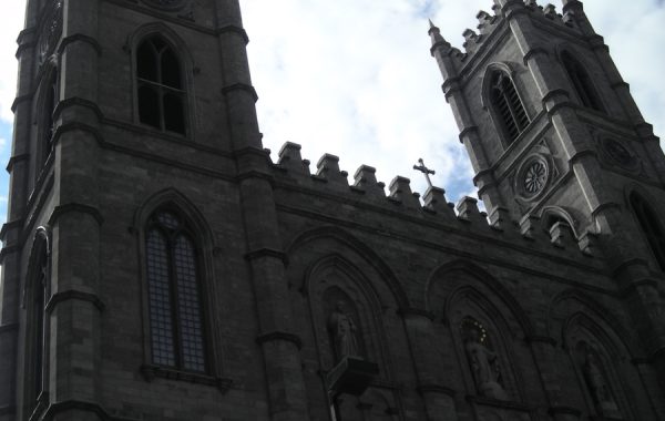 DSCN4216
