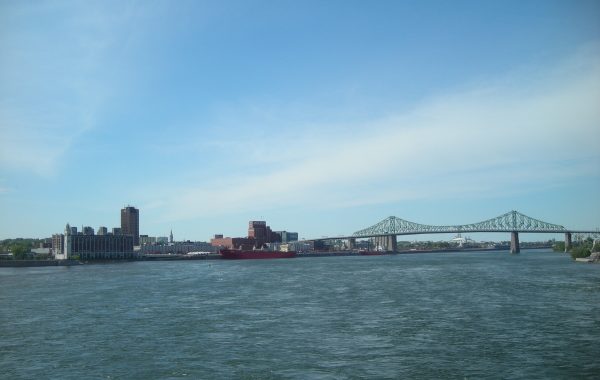 DSCN4246