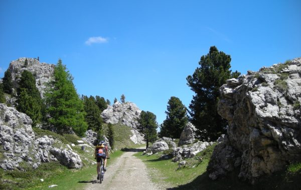 SellRondaBikeDay2010-27-06-10-11-34-43