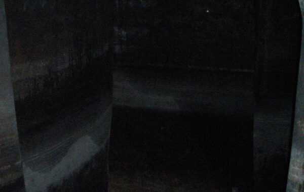 DSCN2591