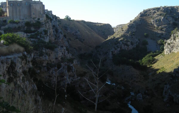 DSCN2601