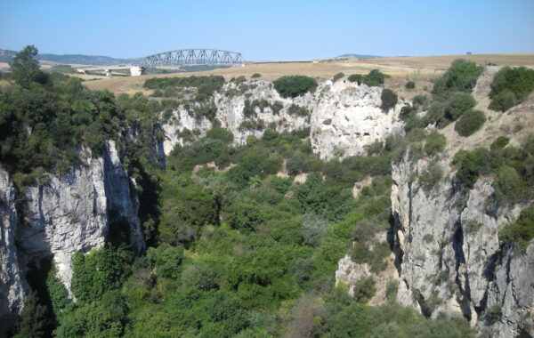 DSCN2613