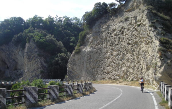 DSCN2623